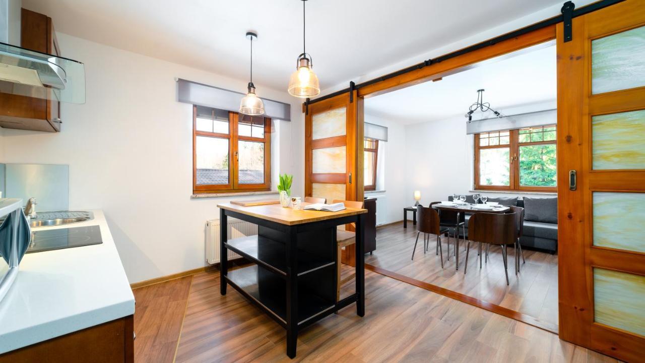 Apartament Przy Kamienczyku Шклярска-Поремба Экстерьер фото